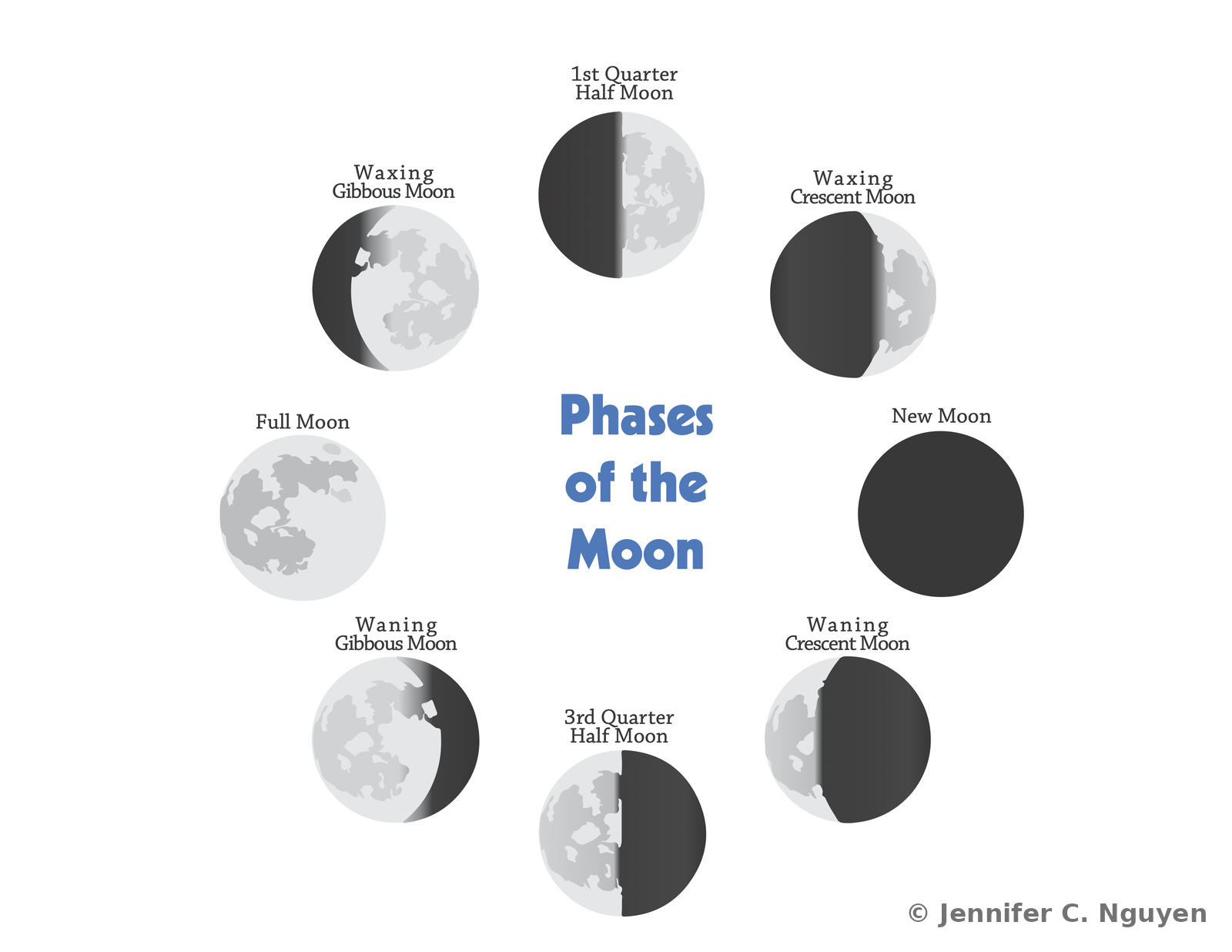 Educational diagram titled Phases of the Moon, showing eight labeled moon phase illustrations arranged in a circle around the title, including new moon, waxing crescent, first quarter half moon, waxing gibbous, full moon, waning gibbous, third quarter half moon, and waning crescent