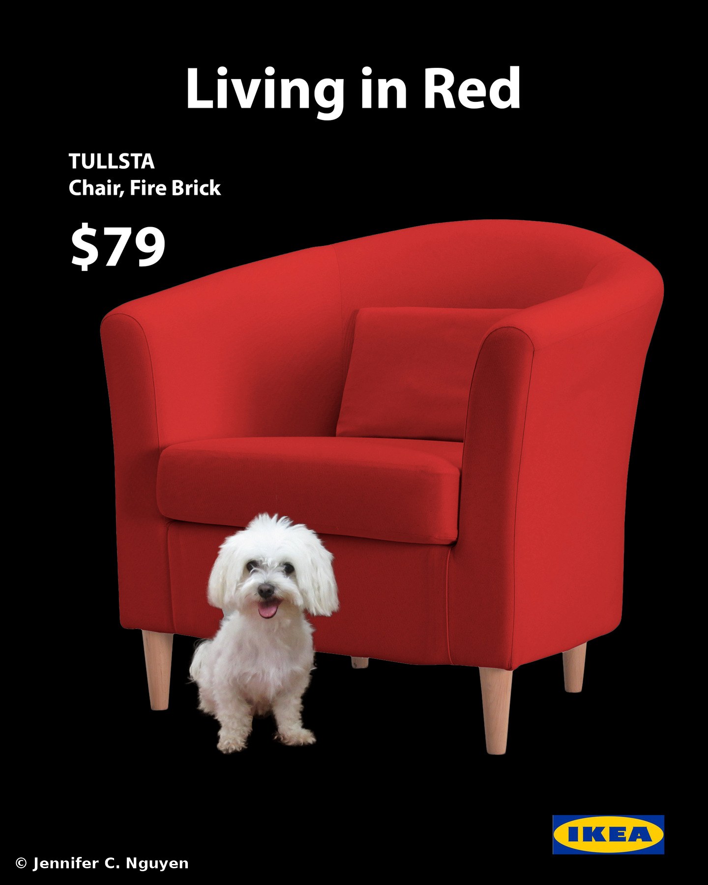 Mock print advertisement titled Living in Red for a red IKEA Tullsta armchair priced at $79, featuring a small white fluffy dog sitting in front of the chair, with the IKEA logo in the bottom corner